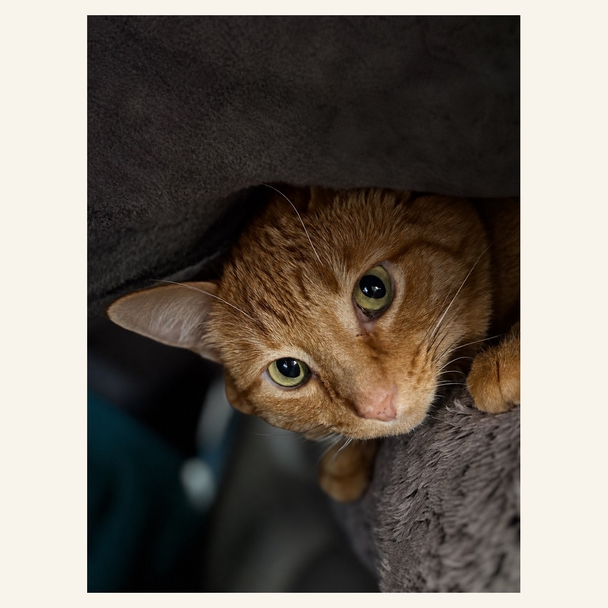 The real Butters — photo 4