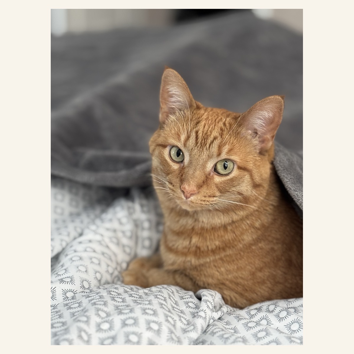 The real Butters — photo 9