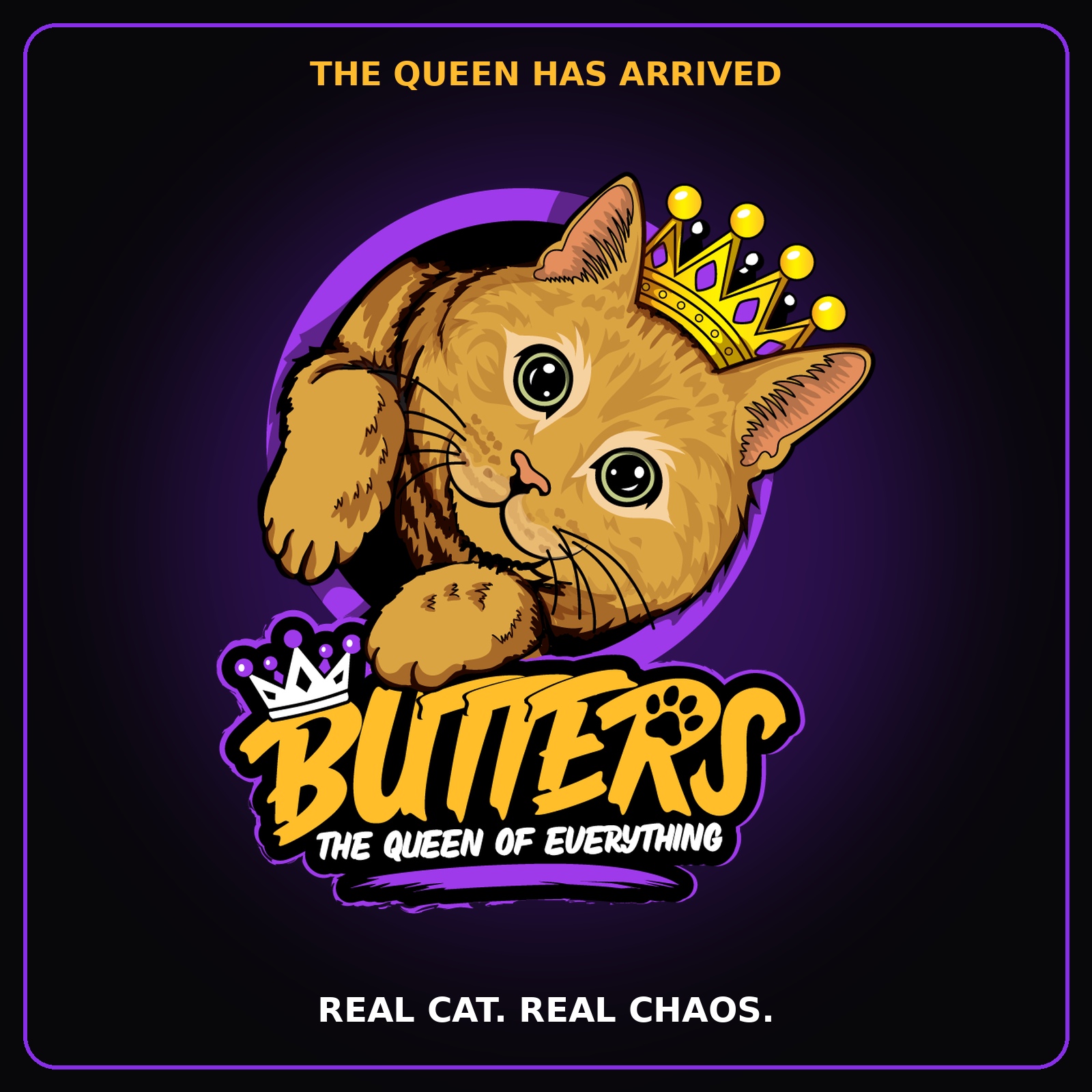 BUTTERS — The Queen Has Arrived. Real Cat. Real Chaos.
