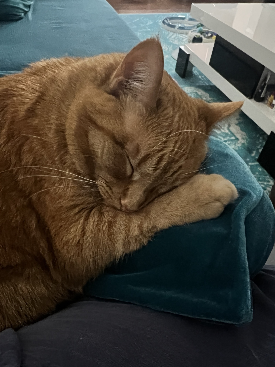 Butters sleeping